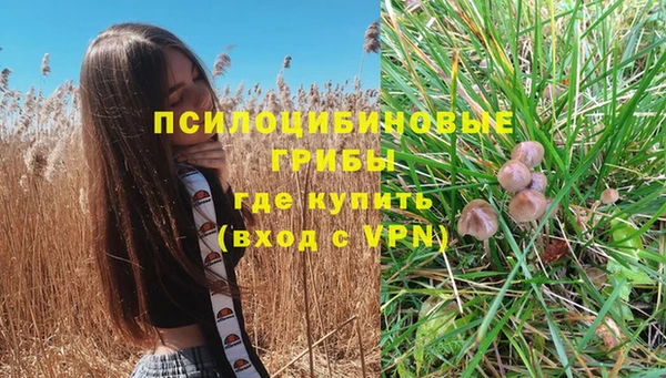 прущий лед Алзамай
