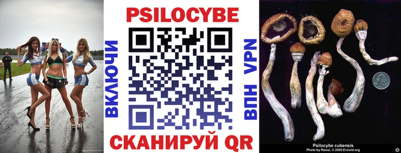 Галлюциногенные грибы MAGIC MUSHROOMS  Плавск 